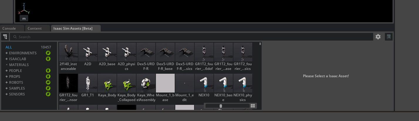 isaac sim asset